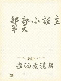 那部小说主角叫宁天