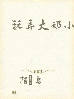 玩弄大奶小说
