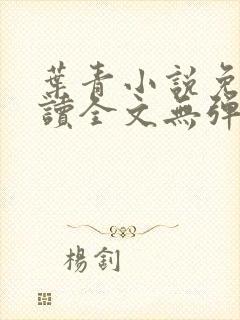 叶青小说免费阅读全文无弹窗