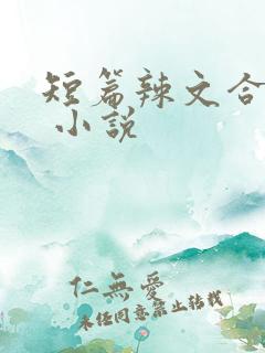 短篇辣文合集. 小说