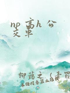 np 高h 公交车
