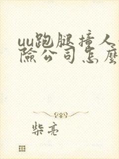 uu跑腿撞人保险公司怎么赔偿