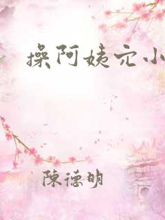操阿姨穴小说