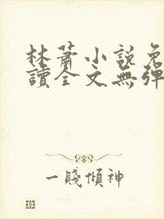 林萧小说免费阅读全文无弹窗