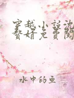 穿越小说沈浪主赘婿免费阅读
