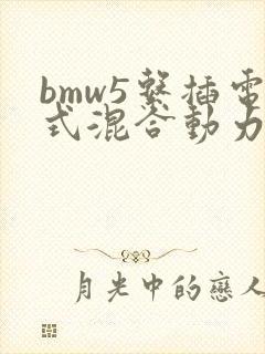 bmw5系插电式混合动力价格 bmw5系插电式混合动力价格
