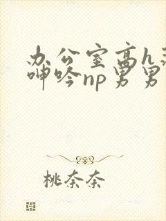 办公室高h荡肉呻吟np男男