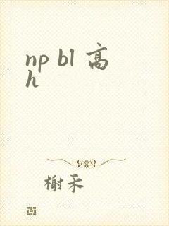 np bl 高h