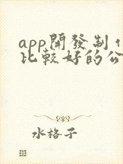 app开发制作比较好的公司