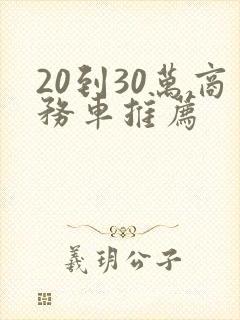 20到30万商务车推荐