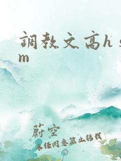 调教文高h sm