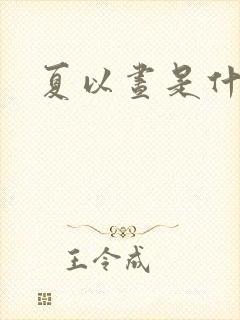 夏以昼是什么
