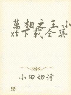 万相之王小说txt下载全集 万相之王小说txt下载全集