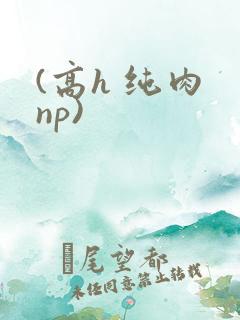 (高h 纯肉 np)