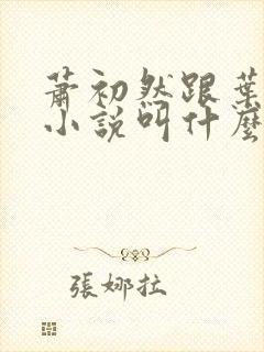 萧初然跟叶辰的小说叫什么 萧初然跟叶辰的小说叫什么