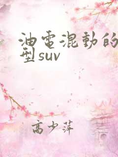 油电混动的中大型suv