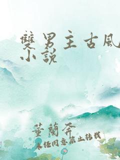 双男主古风穿越小说