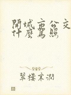 开城市公交需要什么驾照