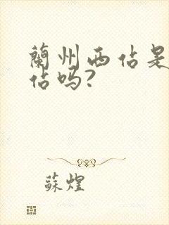 兰州西站是火车站吗?