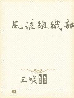 风流组织部长
