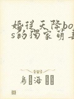婚从天降boss的独家萌妻免费阅读