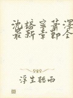 沈榕宁萧泽小说最新章节全文阅读