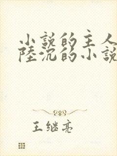 小说的主人公叫陆沉的小说