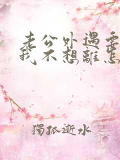 老公外遇要离婚我不想离怎么