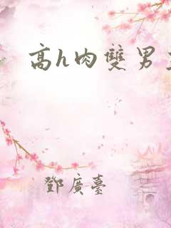 高h肉双男主 高h肉双男主