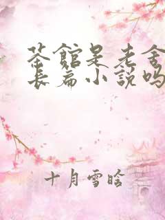 茶馆是老舍写的长篇小说吗