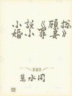 小说《顾总的隐婚小罪妻》