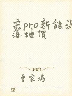 宋pro新能源落地价 宋pro新能源落地价