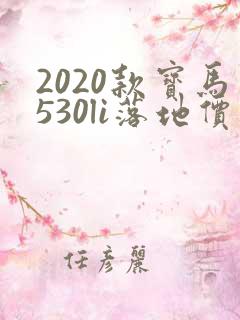2020款宝马530li落地价最低多少