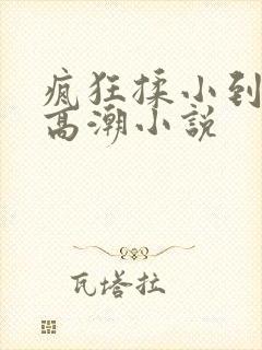 疯狂揉小到失禁高潮小说