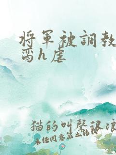 将军被调教成禁脔h虐