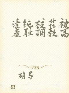 清纯校花被民工羞耻调教高h