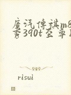 广汽传祺m8领秀390t至尊版