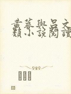 黄蓉与吕文德各类小说阅读