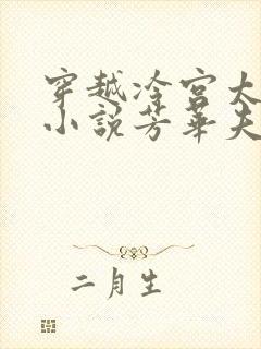 穿越冷宫太监的小说芳华夫人