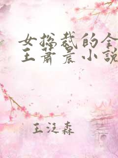 女总裁的全能兵王萧晨小说