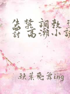 失禁 调教 惩罚 高潮小说