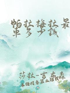 帕拉梅拉最贵的车多少钱