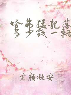 哈弗猛龙落地价多少钱一辆