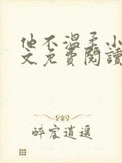 他不温柔小说全文免费阅读无弹窗