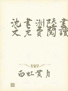沈聿洲陆书苒全文免费阅读最新章节