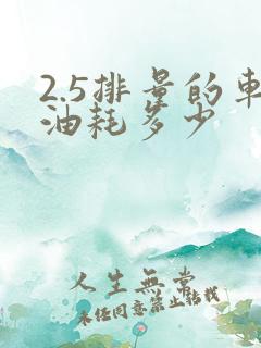2.5排量的车油耗多少