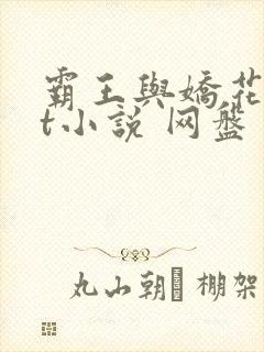 霸王与娇花txt小说 网盘
