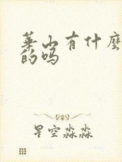 华山有什么好玩的吗