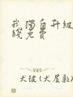 我独自升级 在线免费