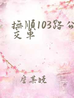 抚顺103路公交车